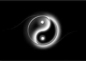 tao taijiversilia